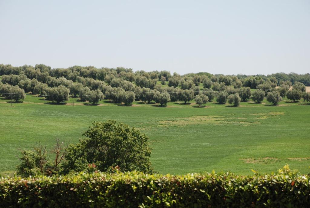 Agriturismo Le Coccinelle Guest House Magliano in Toscana Exterior photo